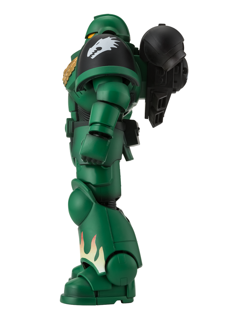 800-1124salamanders-3-1599575325-2e31d.p