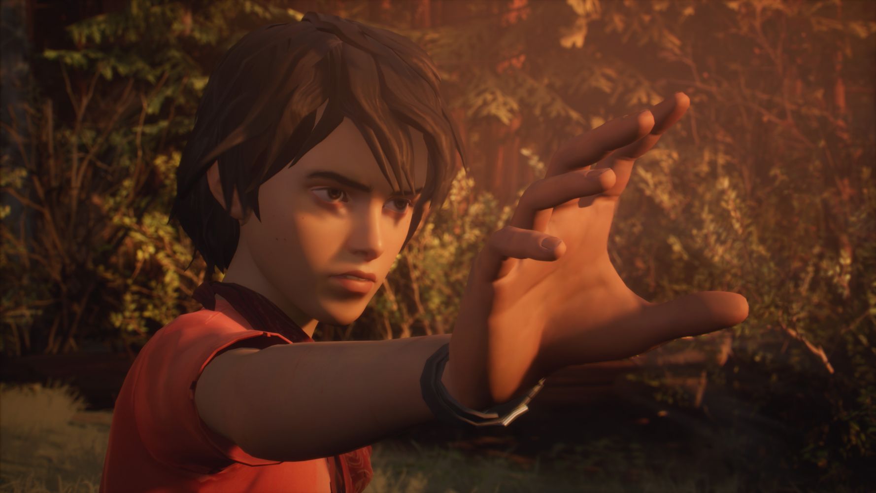 LIFE IS STRANGE 2 Collector