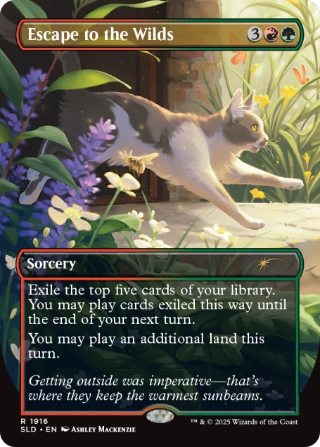 Cats Are Better Than Dogs