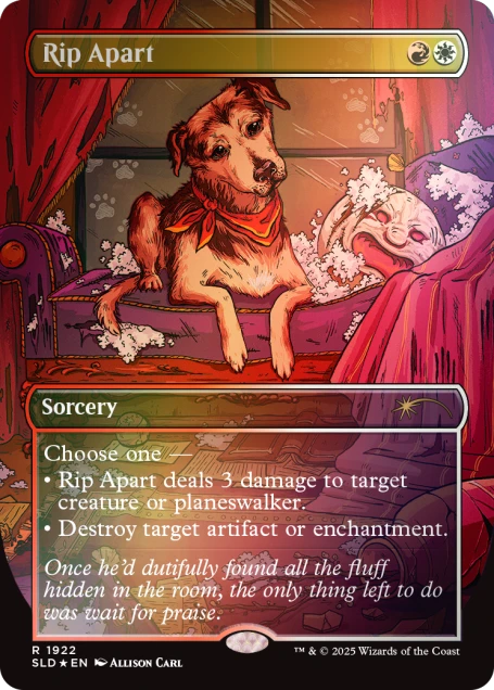 Dogs Are Better Than Cats Foil Edition