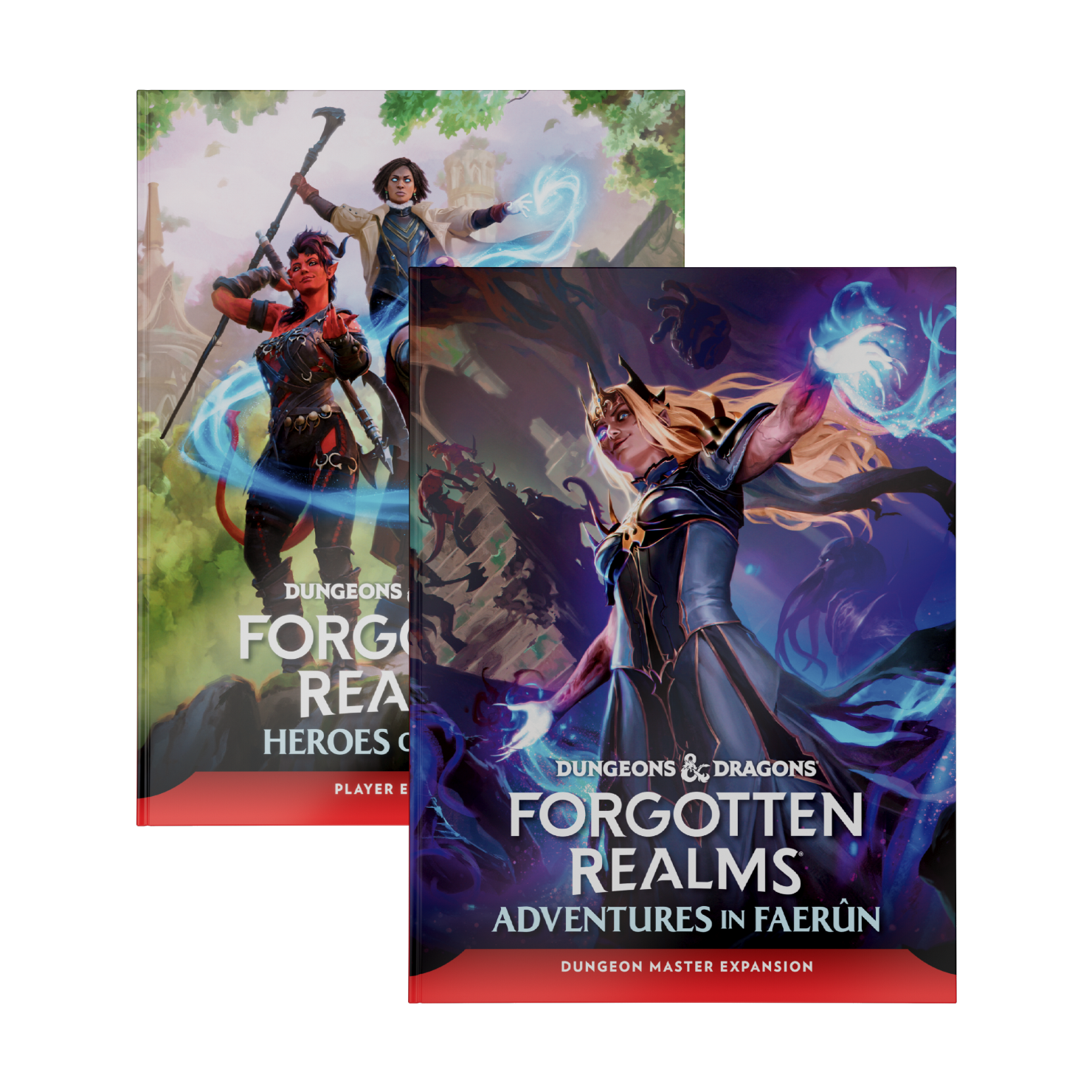 Forgotten Realms Ultimate Bundle | D&D