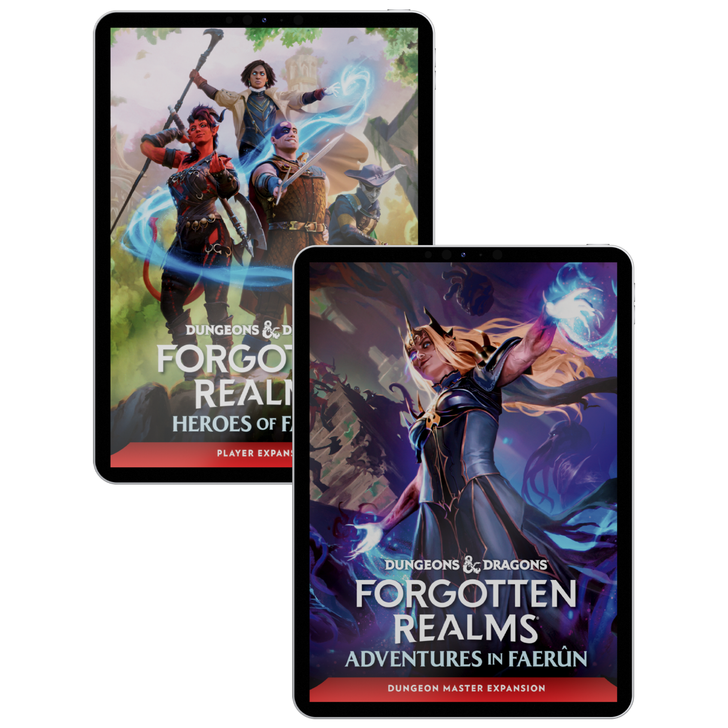 Forgotten Realms Ultimate Bundle | D&D
