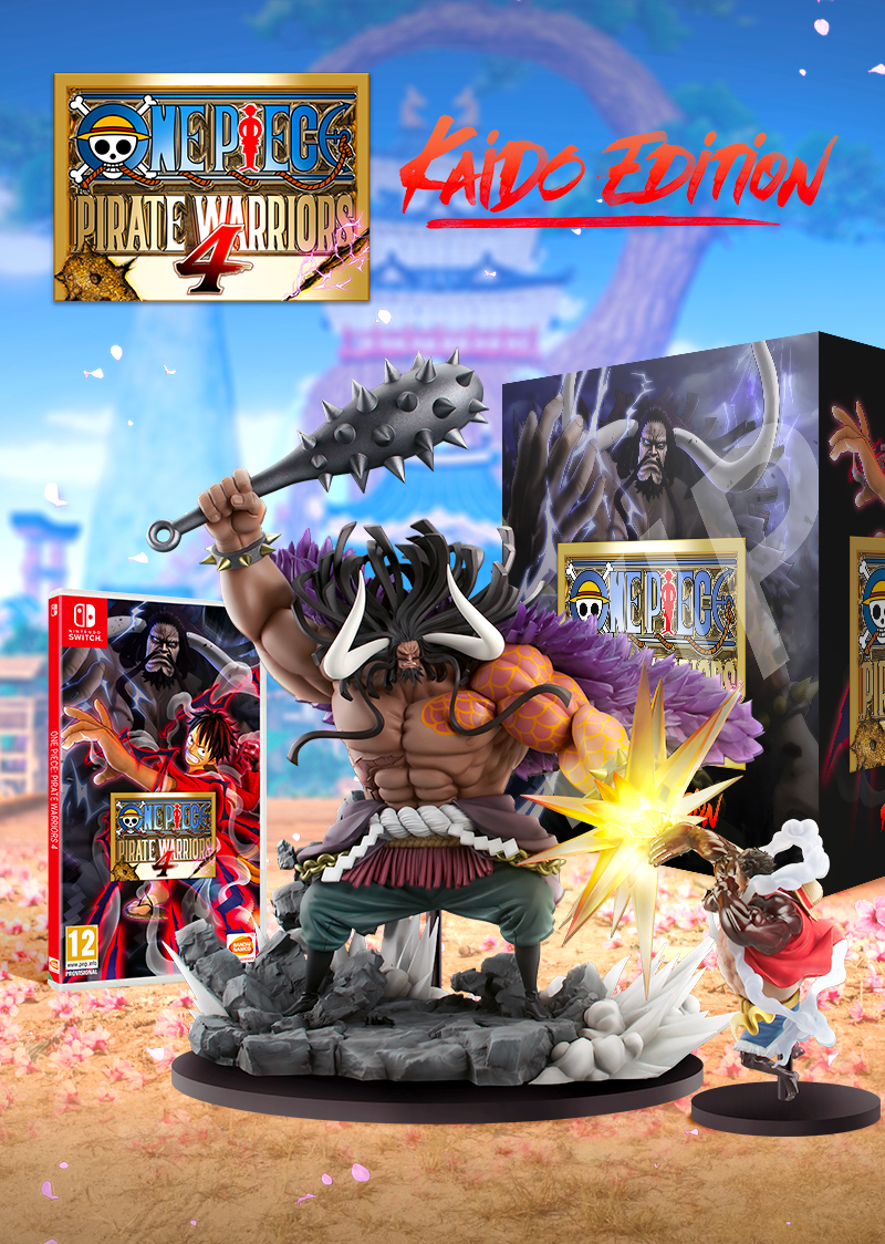 one piece pirate warriors deluxe edition