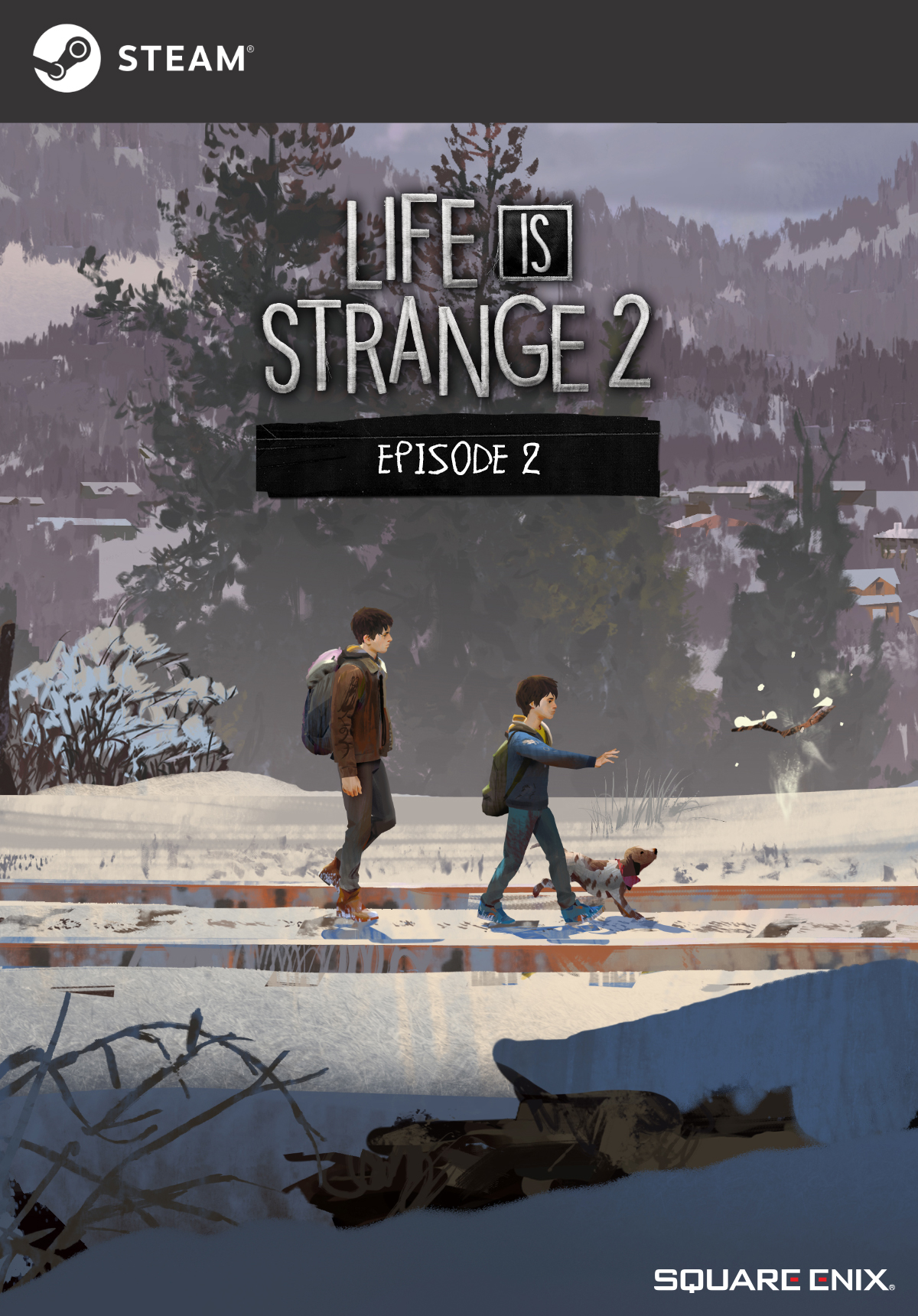 ce46f8d3-75fe-f8dd-bc7f-df8581cc2fd7