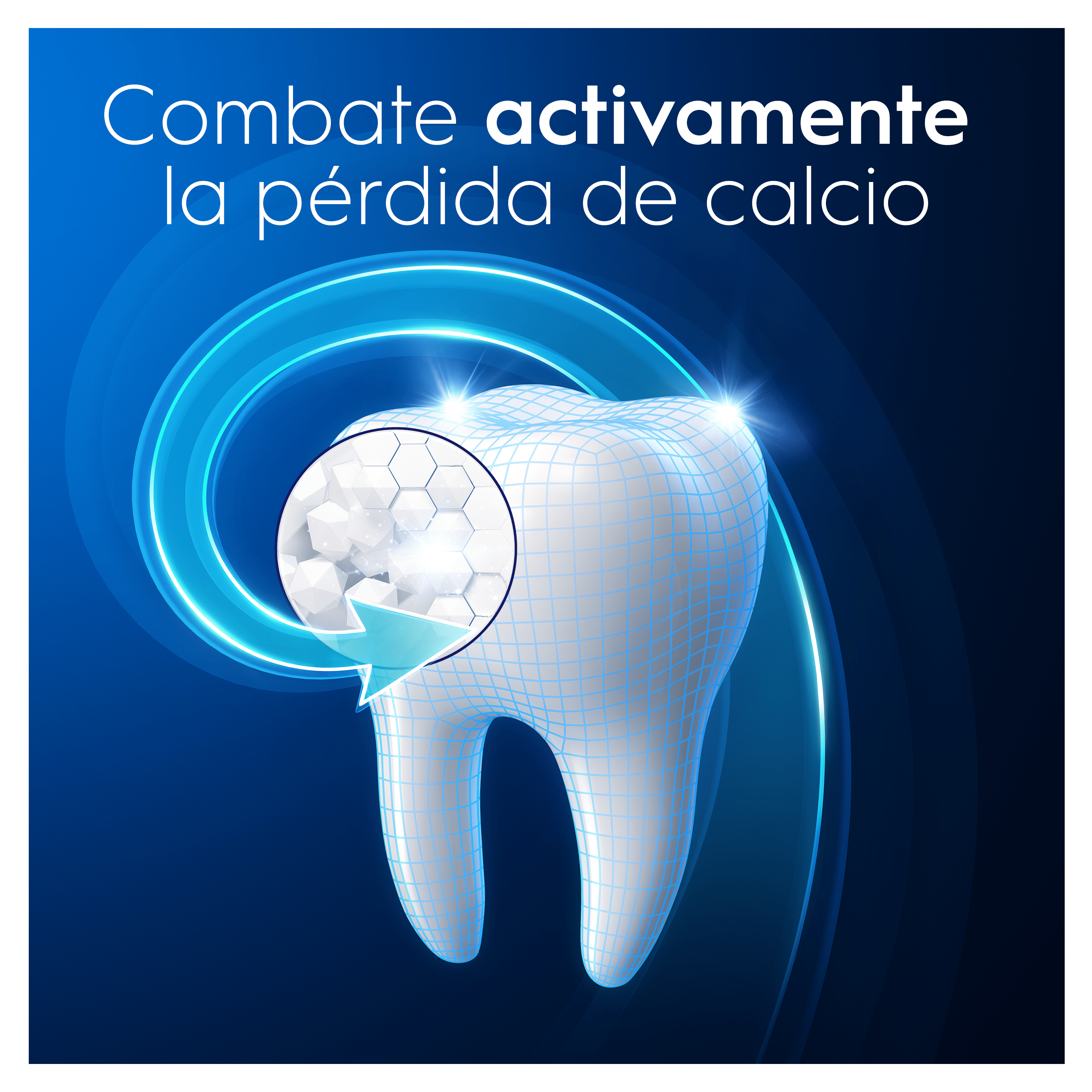 Oral-B Pasta de Dientes Densify Regenera Limpieza Intensiva - Pack de 12