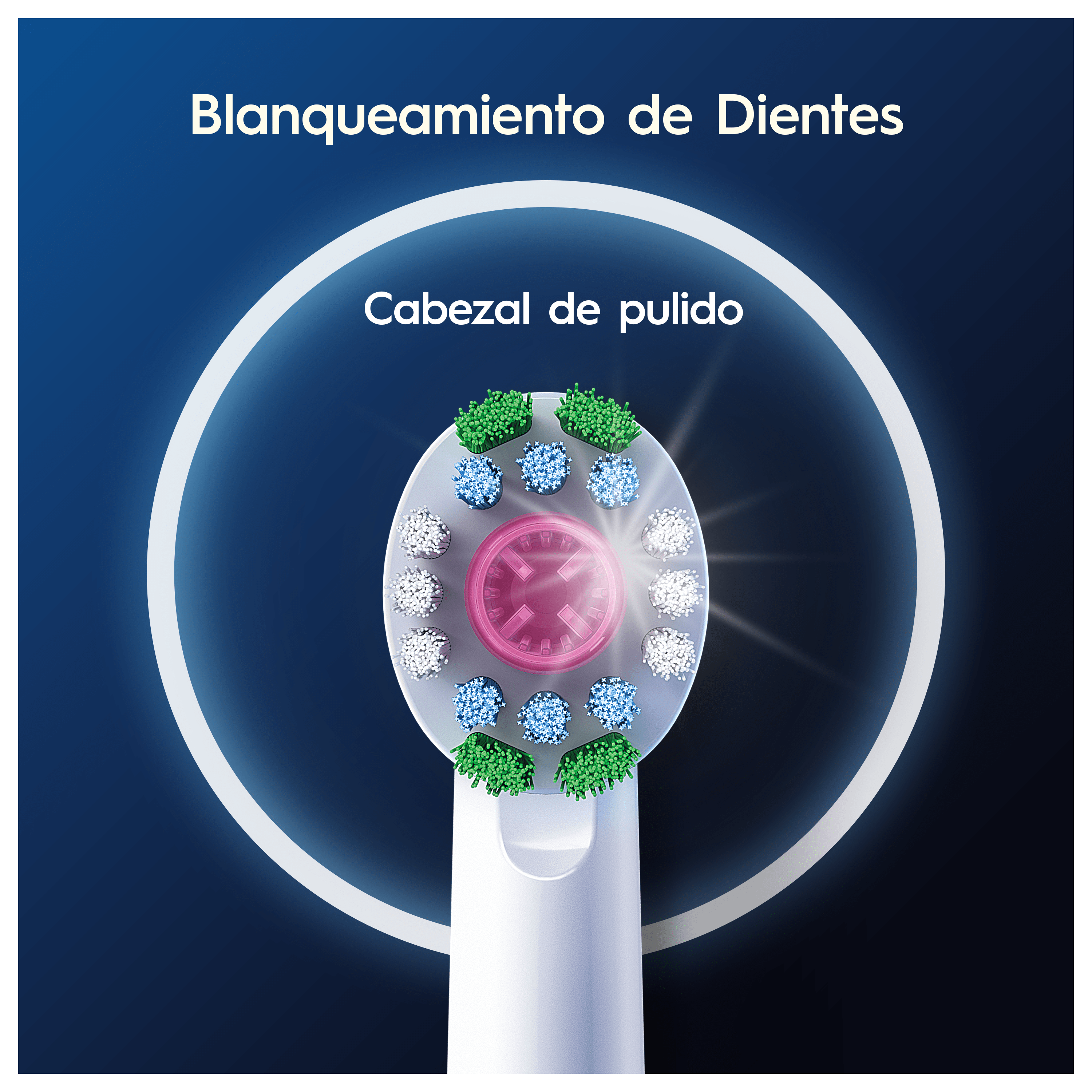 Oral-B Recambios 3DWhite - Pack de 12