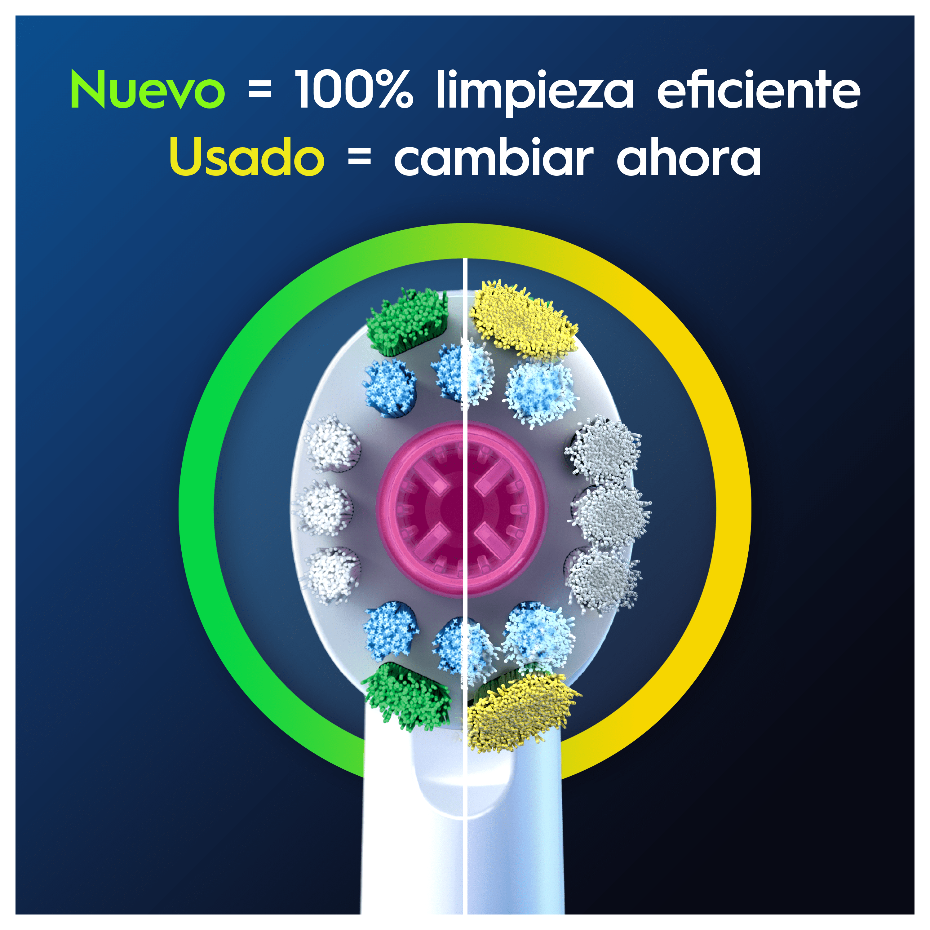 Oral-B Recambios 3DWhite - Pack de 12