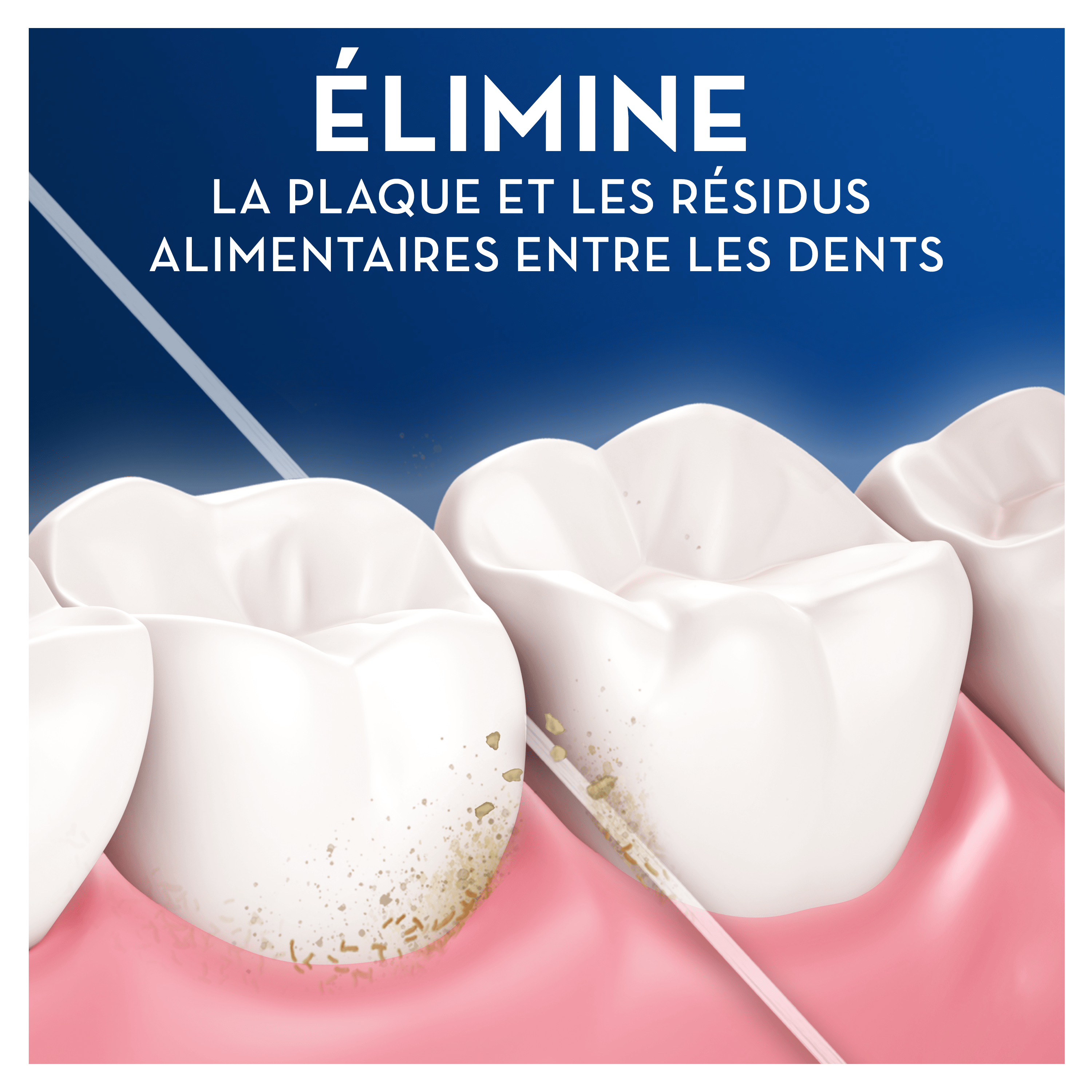 Fil dentaire Oral-B Pro-Expert Advanced - 50 m