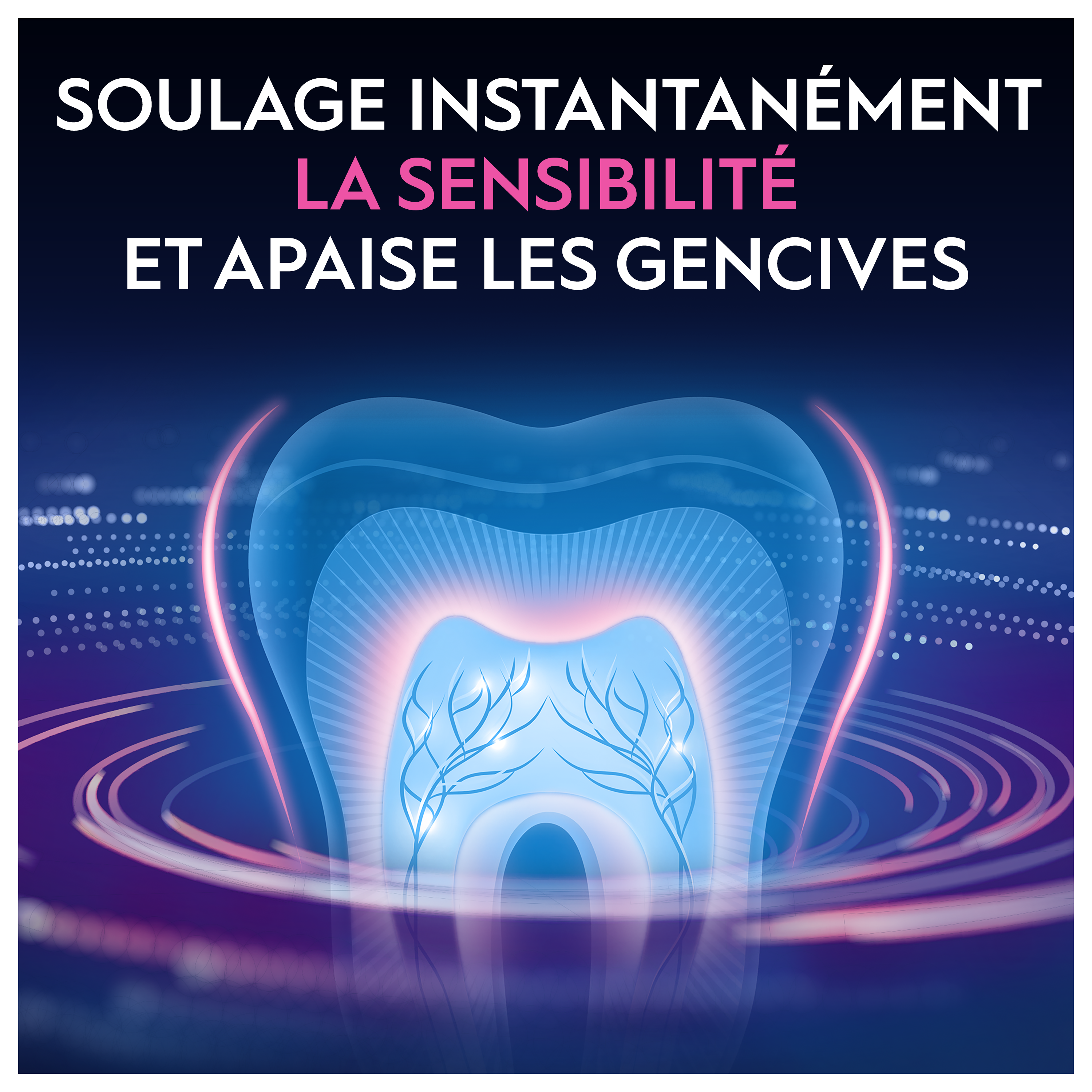 Oral-B Pro Pack de routine dentaire - gencives sensibles