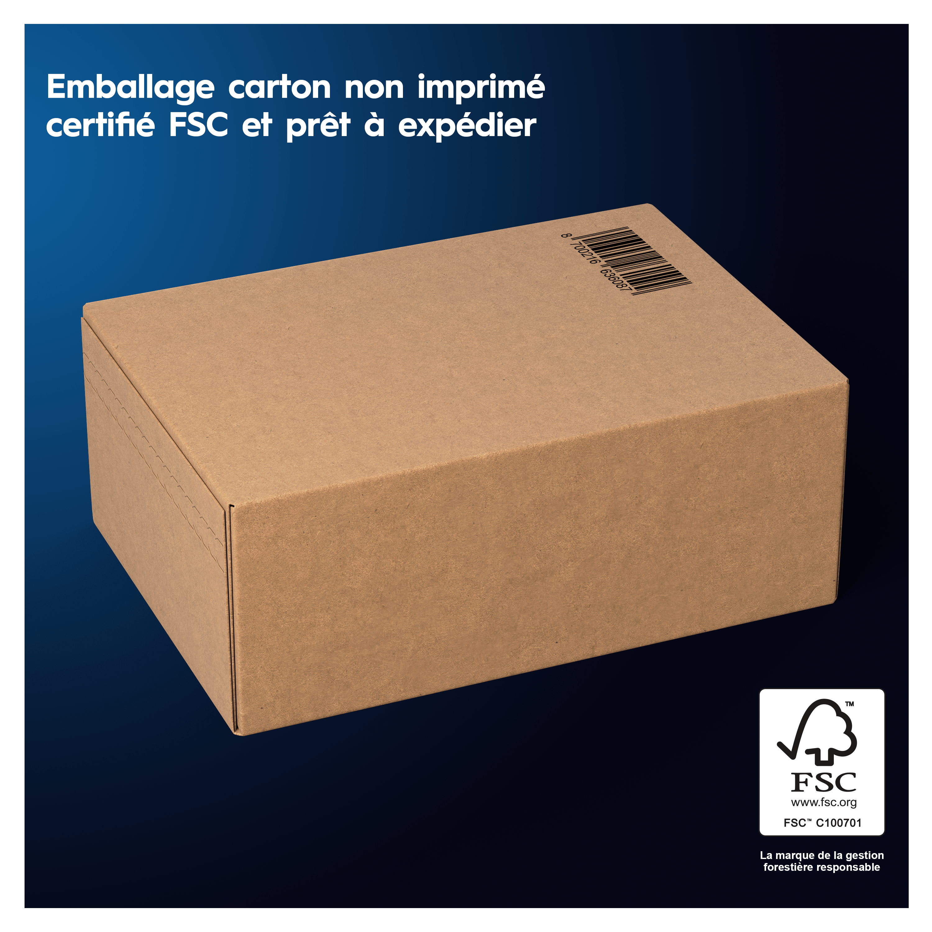 Oral-B iO3 Noire + 4 Brossettes