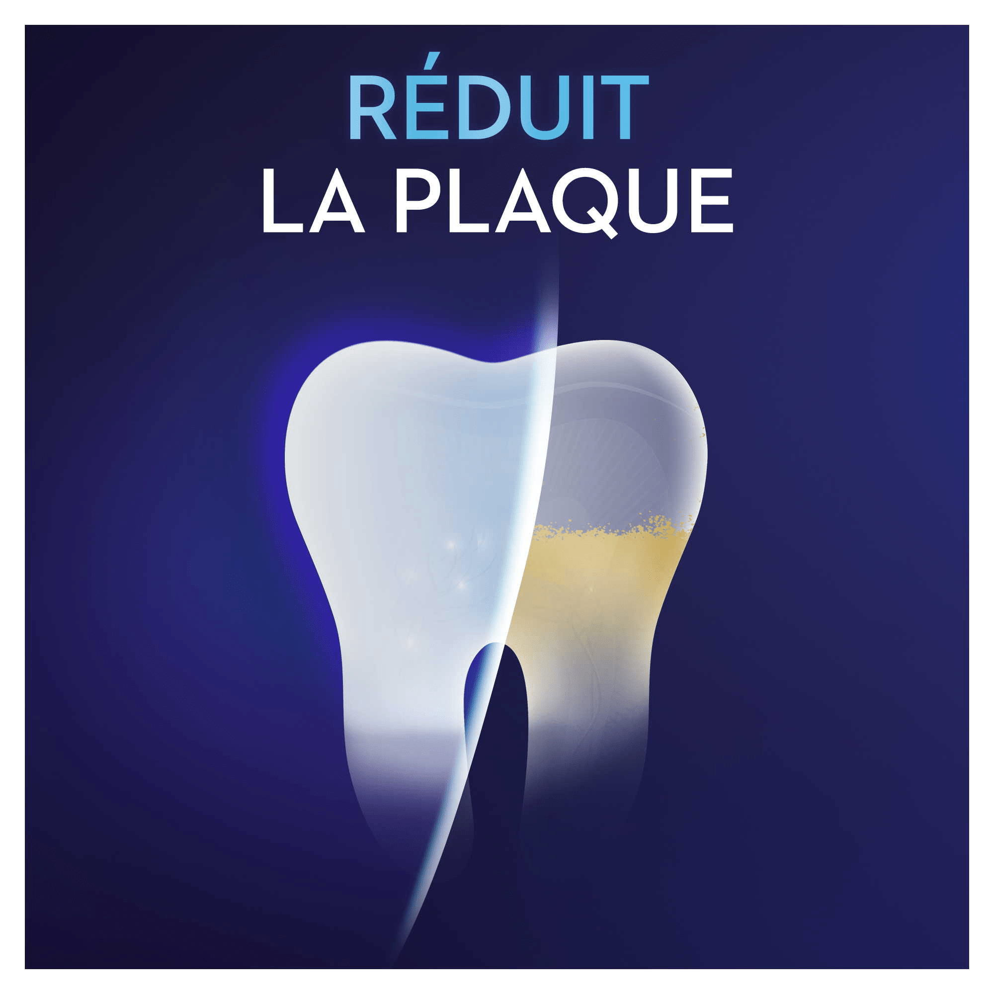 Oral-B Pro Pack de routine dentaire - blancheur