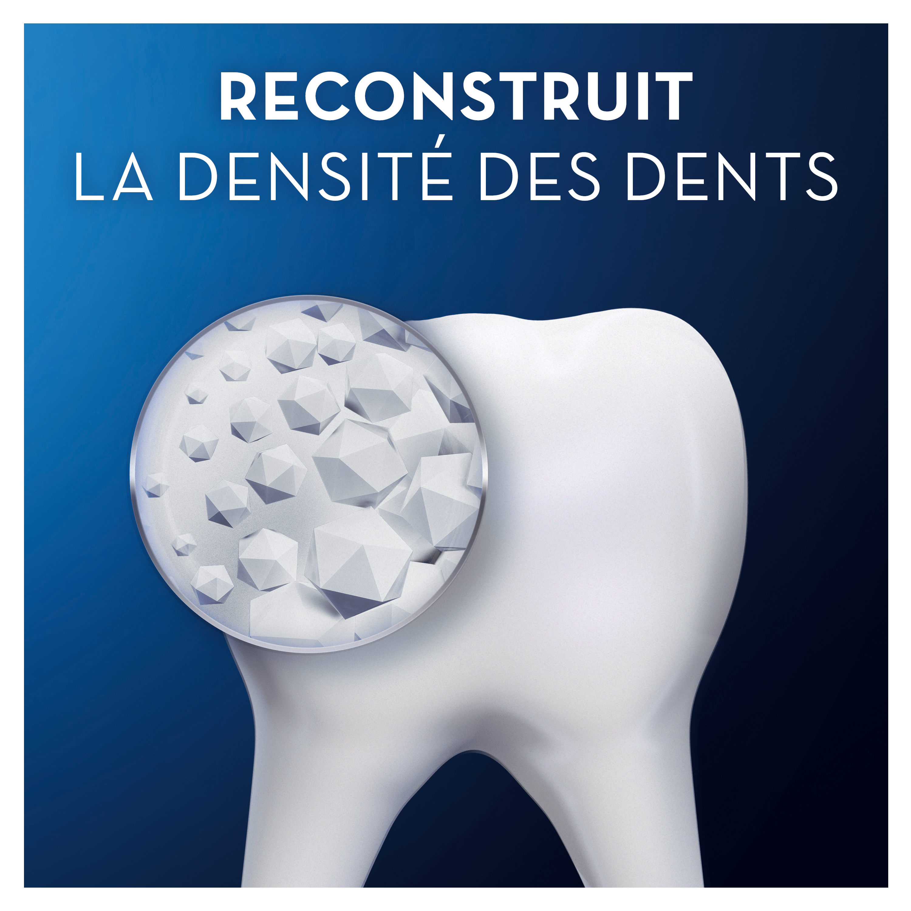 Dentifrice Oral-B Pro Science Densité Protection au quotidien 75ml