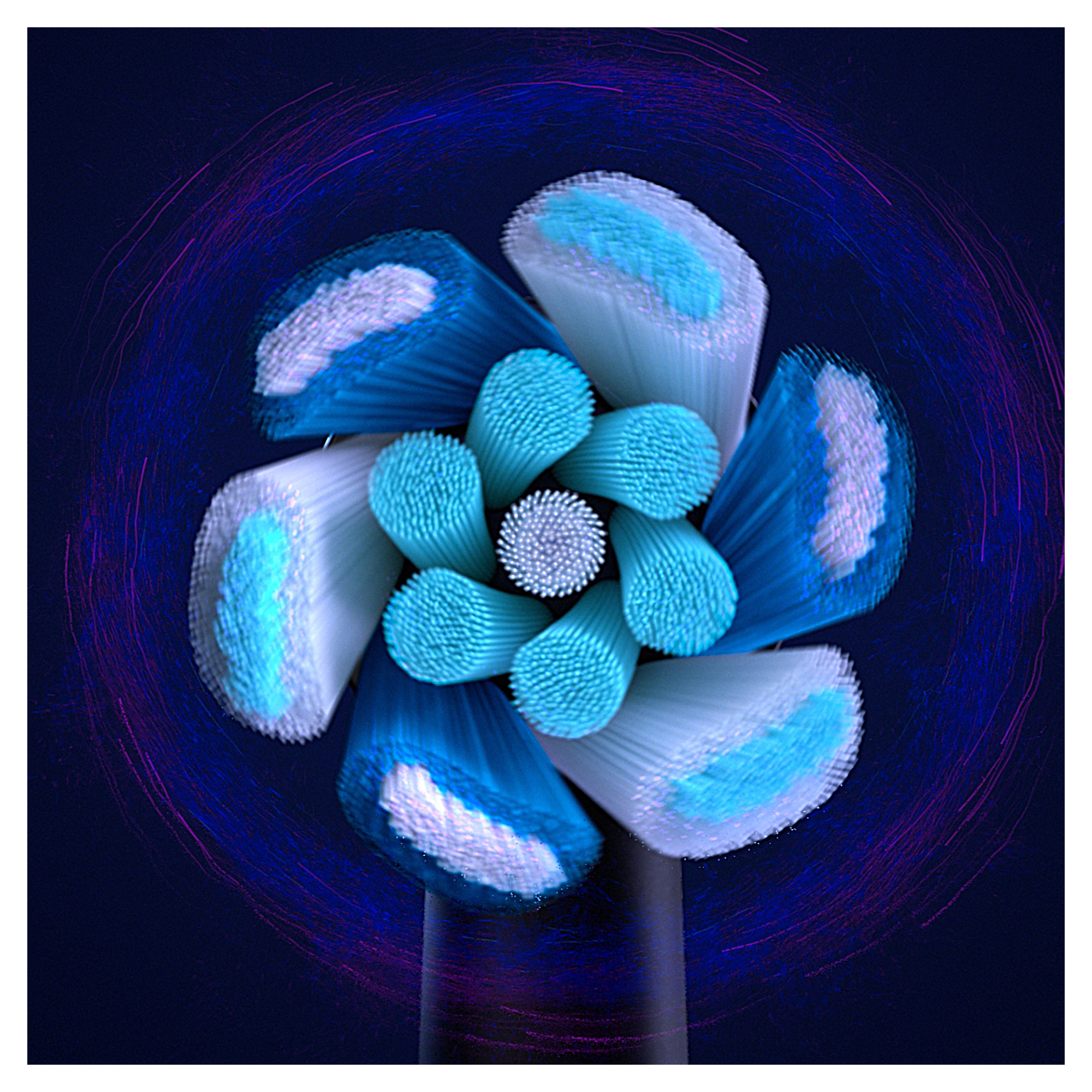 Oral-B iO 3 Noire Brosse à dents électrique avec brossette + 2 brossettes