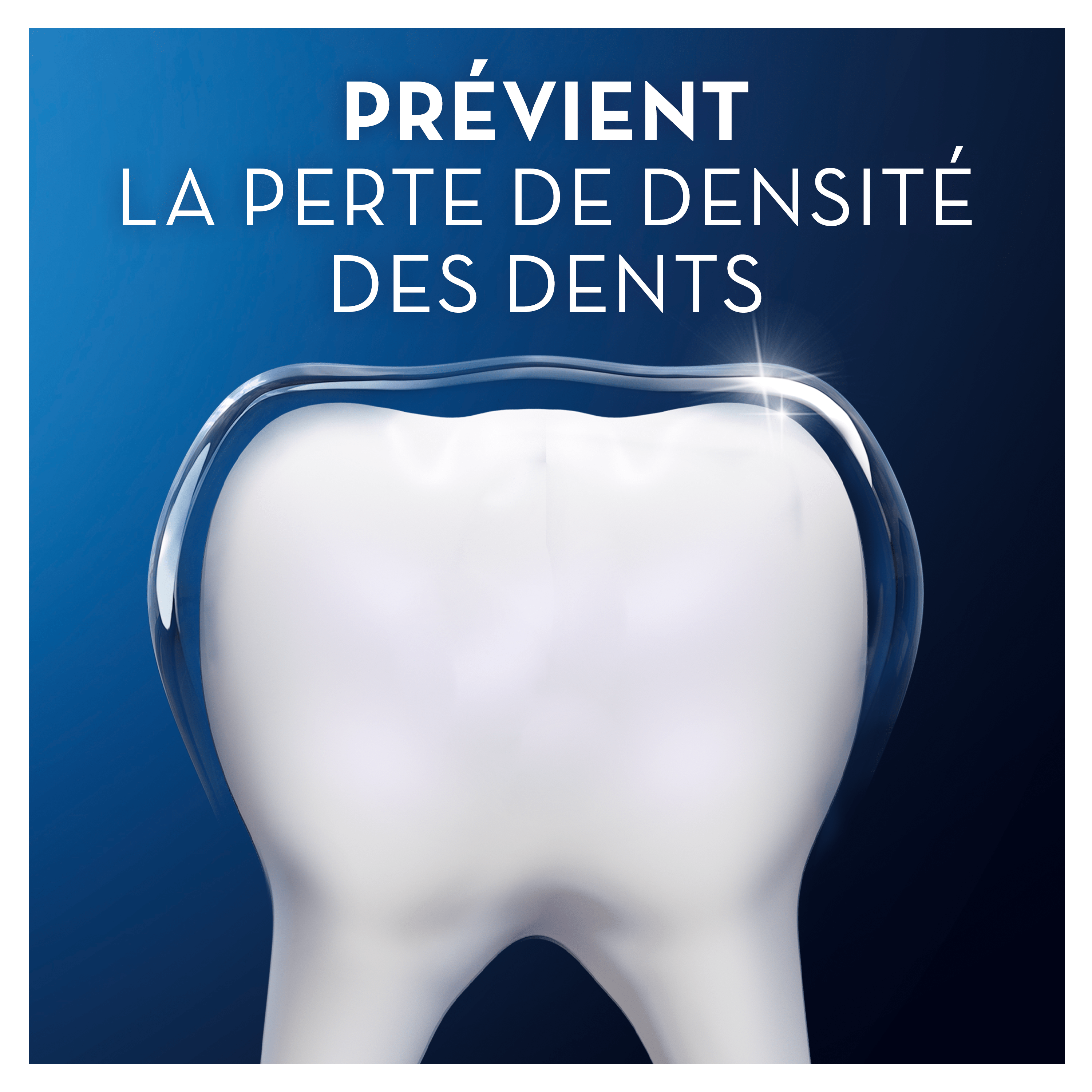 Dentifrice Oral-B Pro Science Densité Protection au quotidien 75ml