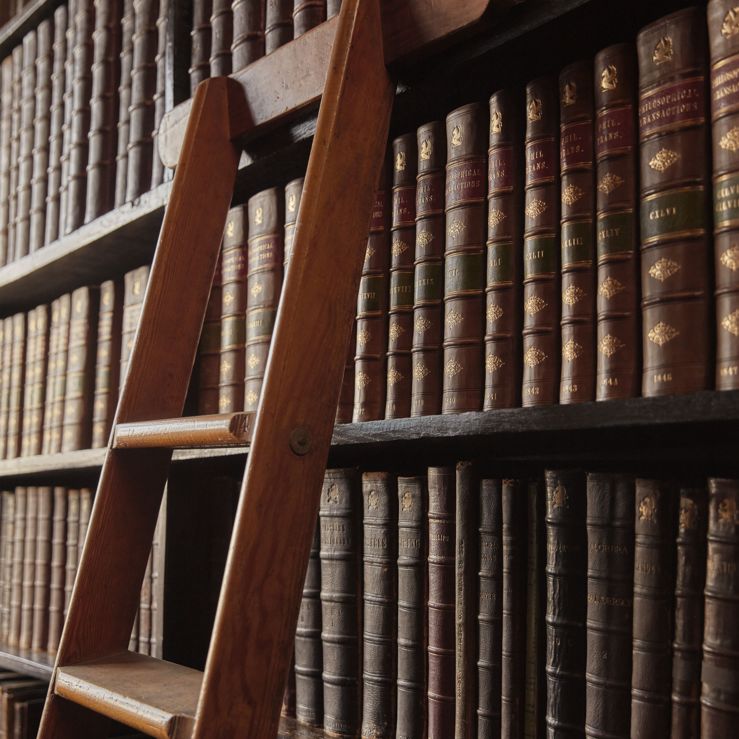 maison margiela replica whispers in the library eau de toilette